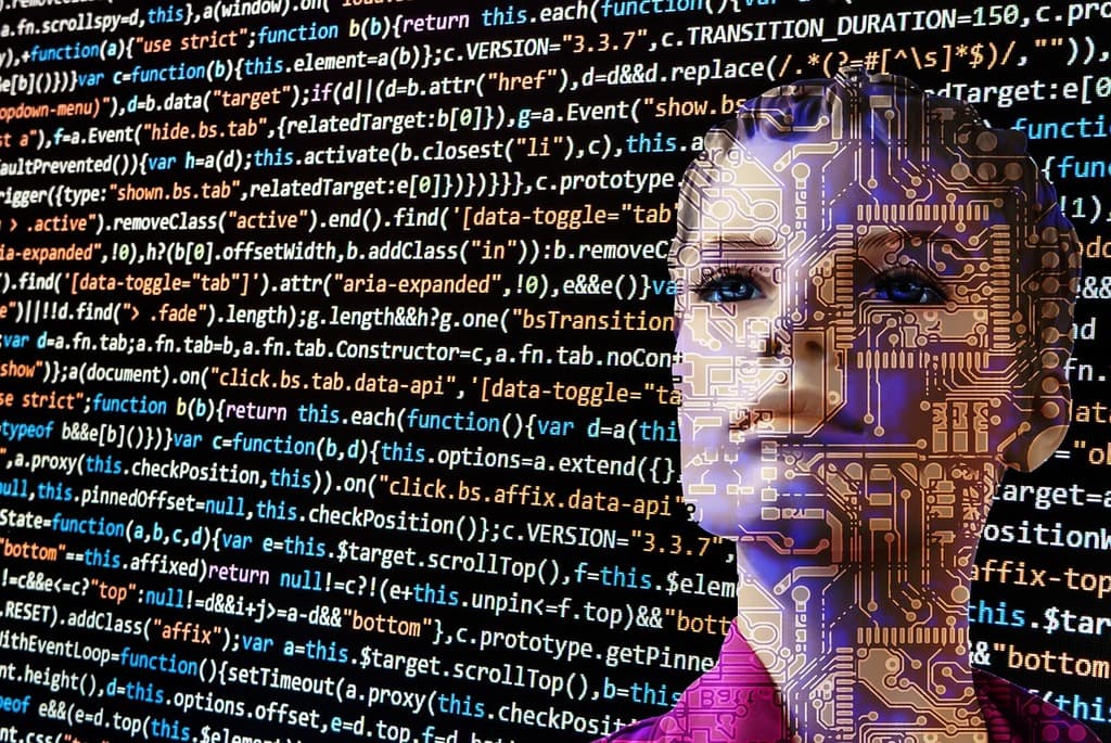 Pourquoi choisir le métier de développeur web ?
